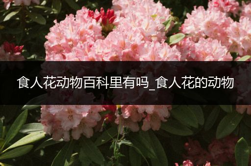 食人花动物百科里有吗_食人花的动物