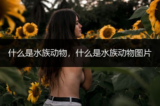 什么是水族动物，什么是水族动物图片