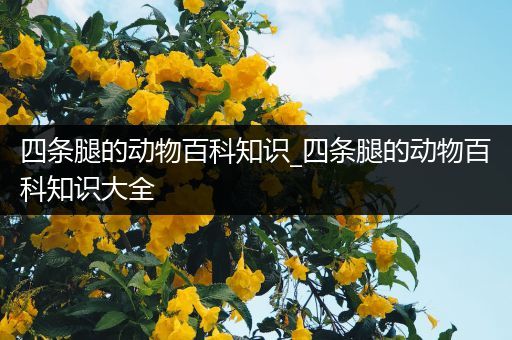 四条腿的动物百科知识_四条腿的动物百科知识大全