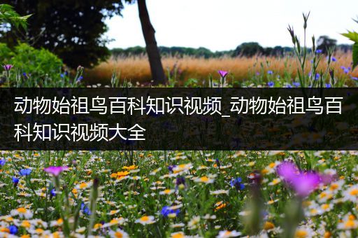 动物始祖鸟百科知识视频_动物始祖鸟百科知识视频大全
