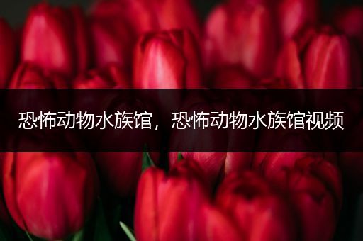 恐怖动物水族馆，恐怖动物水族馆视频
