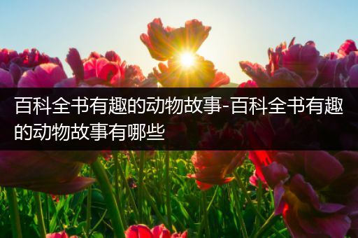 百科全书有趣的动物故事-百科全书有趣的动物故事有哪些