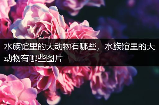 水族馆里的大动物有哪些，水族馆里的大动物有哪些图片