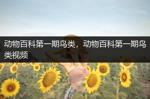 动物百科第一期鸟类，动物百科第一期鸟类视频