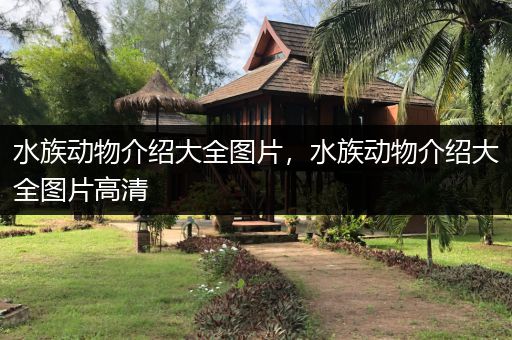 水族动物介绍大全图片，水族动物介绍大全图片高清