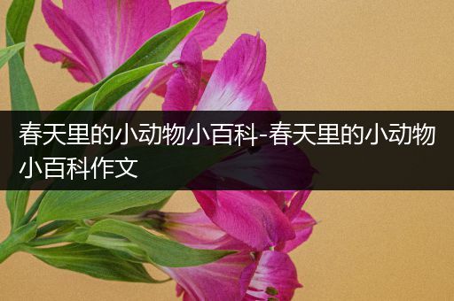 春天里的小动物小百科-春天里的小动物小百科作文