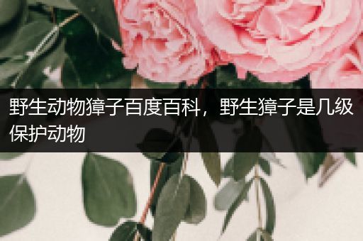 野生动物獐子百度百科，野生獐子是几级保护动物