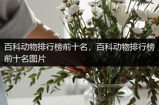 百科动物排行榜前十名，百科动物排行榜前十名图片