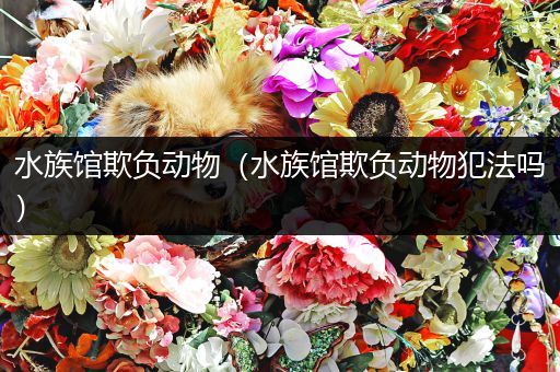 水族馆欺负动物（水族馆欺负动物犯法吗）