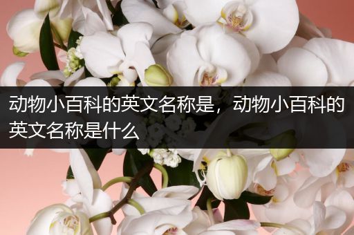 动物小百科的英文名称是，动物小百科的英文名称是什么