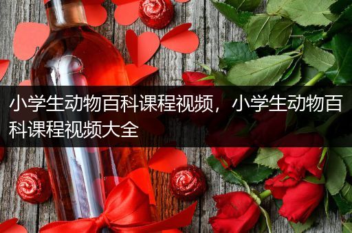 小学生动物百科课程视频，小学生动物百科课程视频大全