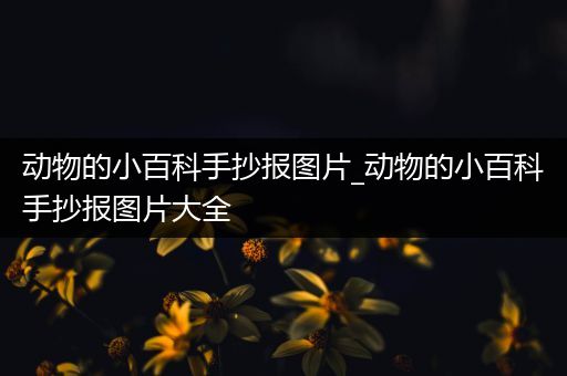 动物的小百科手抄报图片_动物的小百科手抄报图片大全