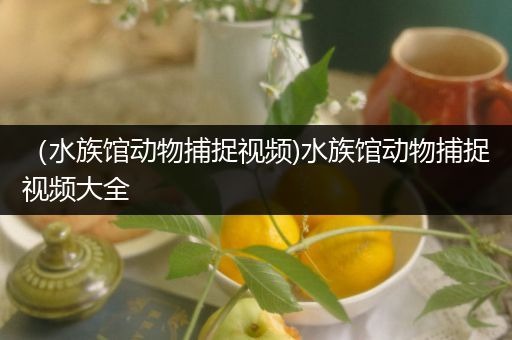 （水族馆动物捕捉视频)水族馆动物捕捉视频大全