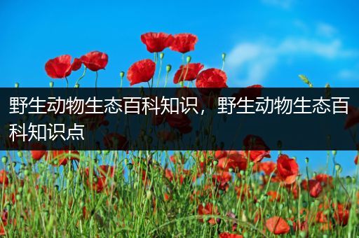 野生动物生态百科知识，野生动物生态百科知识点