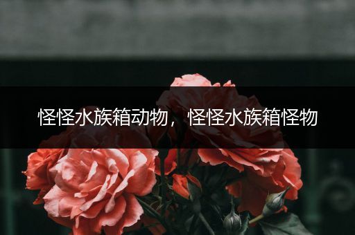 怪怪水族箱动物，怪怪水族箱怪物