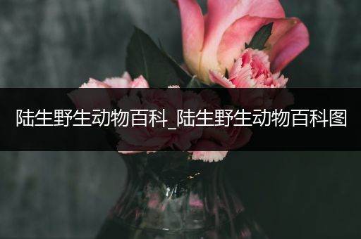 陆生野生动物百科_陆生野生动物百科图