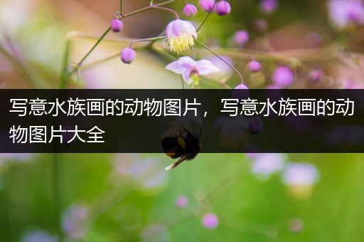 写意水族画的动物图片，写意水族画的动物图片大全