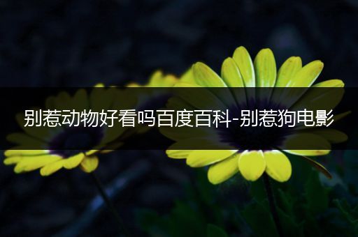 别惹动物好看吗百度百科-别惹狗电影