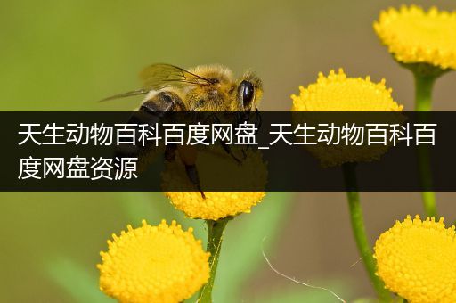 天生动物百科百度网盘_天生动物百科百度网盘资源
