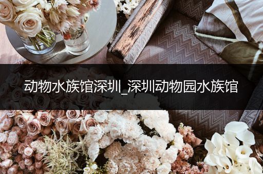 动物水族馆深圳_深圳动物园水族馆