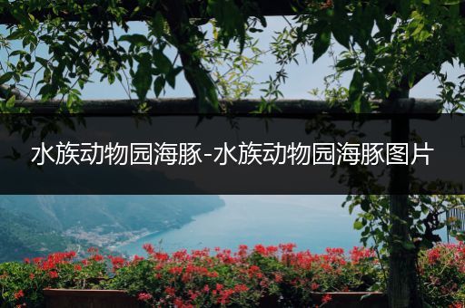 水族动物园海豚-水族动物园海豚图片
