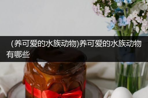 （养可爱的水族动物)养可爱的水族动物有哪些