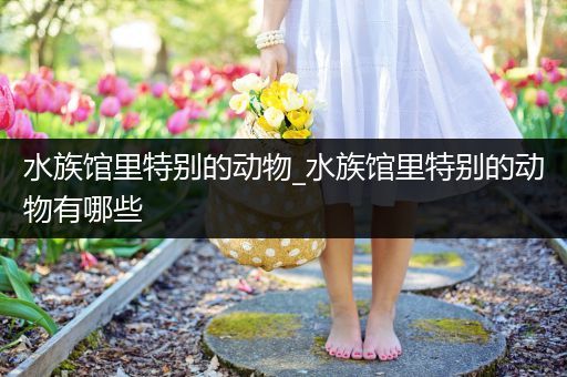 水族馆里特别的动物_水族馆里特别的动物有哪些