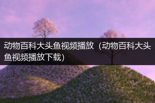 动物百科大头鱼视频播放（动物百科大头鱼视频播放下载）