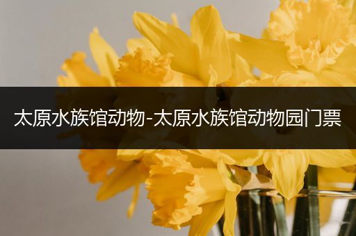 太原水族馆动物-太原水族馆动物园门票