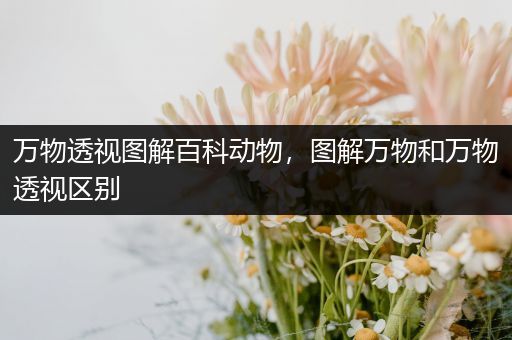 万物透视图解百科动物，图解万物和万物透视区别