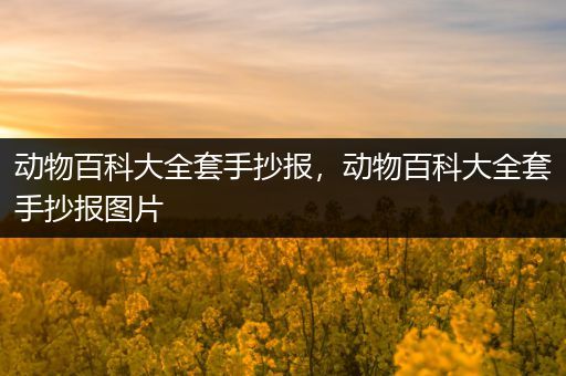 动物百科大全套手抄报，动物百科大全套手抄报图片