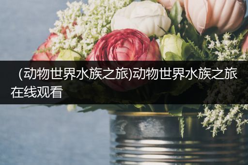 （动物世界水族之旅)动物世界水族之旅在线观看
