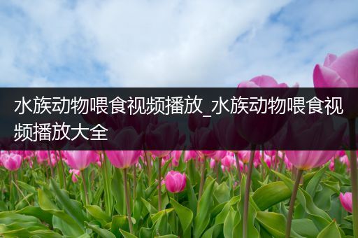 水族动物喂食视频播放_水族动物喂食视频播放大全