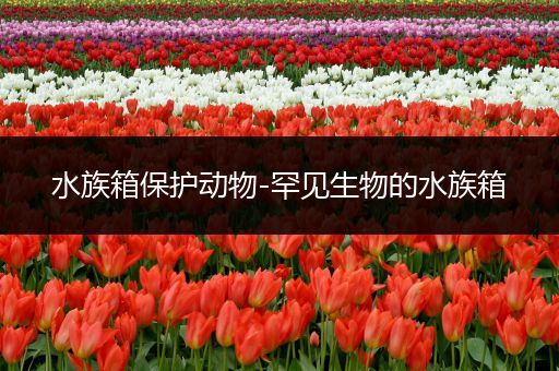 水族箱保护动物-罕见生物的水族箱