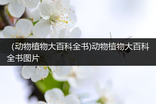 （动物植物大百科全书)动物植物大百科全书图片