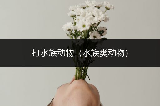 打水族动物（水族类动物）