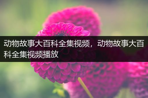 动物故事大百科全集视频，动物故事大百科全集视频播放