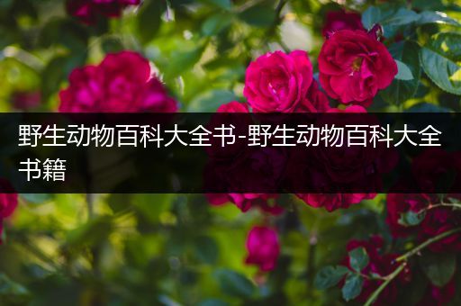野生动物百科大全书-野生动物百科大全书籍