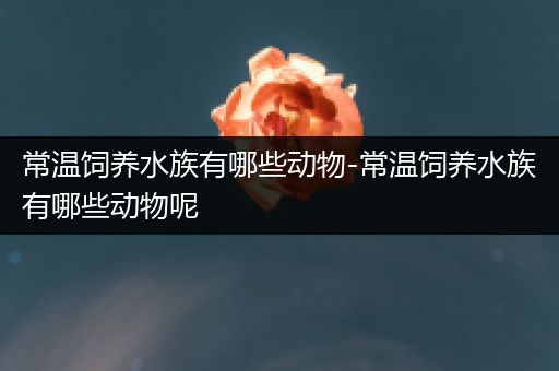 常温饲养水族有哪些动物-常温饲养水族有哪些动物呢