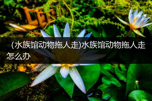 （水族馆动物拖人走)水族馆动物拖人走怎么办