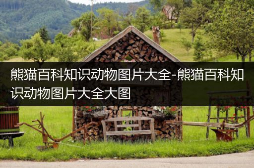 熊猫百科知识动物图片大全-熊猫百科知识动物图片大全大图