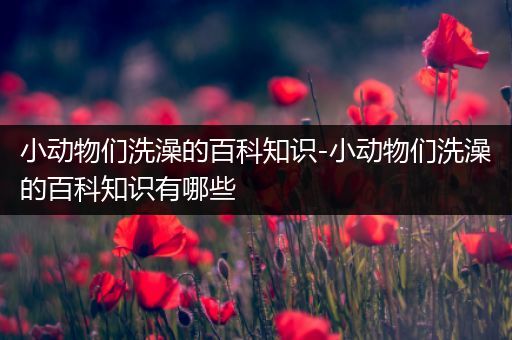 小动物们洗澡的百科知识-小动物们洗澡的百科知识有哪些