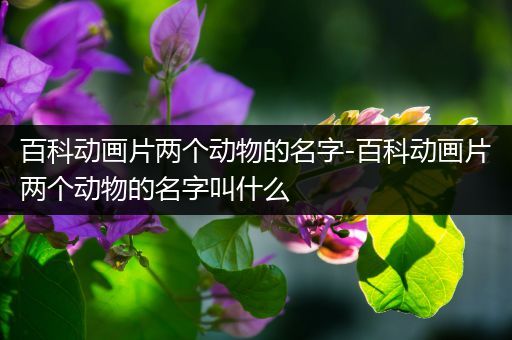 百科动画片两个动物的名字-百科动画片两个动物的名字叫什么