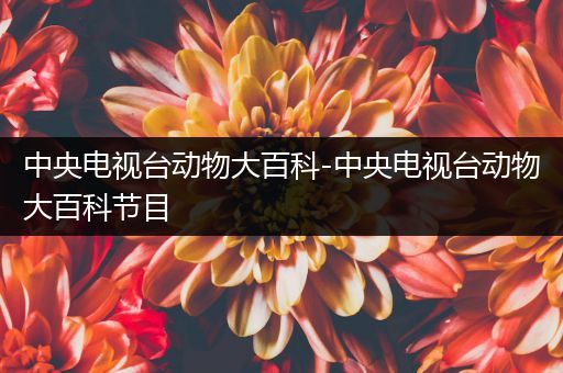 中央电视台动物大百科-中央电视台动物大百科节目