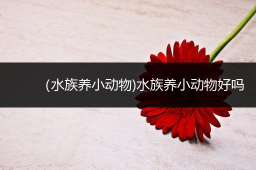 （水族养小动物)水族养小动物好吗