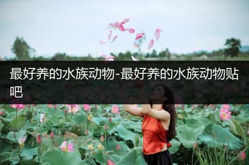 最好养的水族动物-最好养的水族动物贴吧