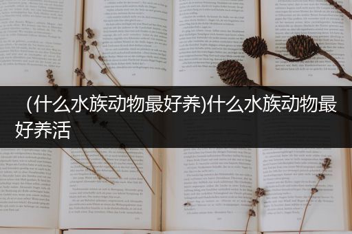（什么水族动物最好养)什么水族动物最好养活