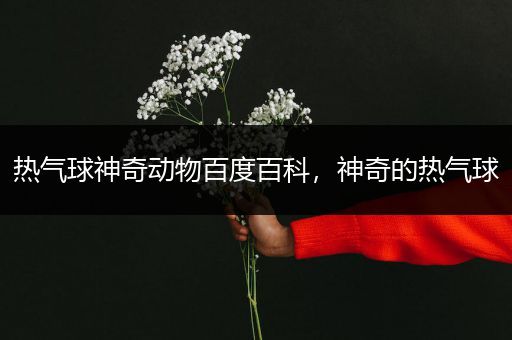 热气球神奇动物百度百科，神奇的热气球