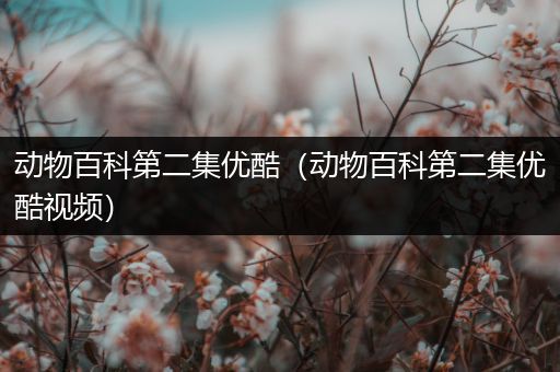 动物百科第二集优酷（动物百科第二集优酷视频）