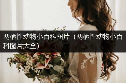 两栖性动物小百科图片（两栖性动物小百科图片大全）